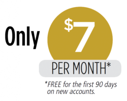 Only $7 Per Month* * Free for the first 90 days on new accounts